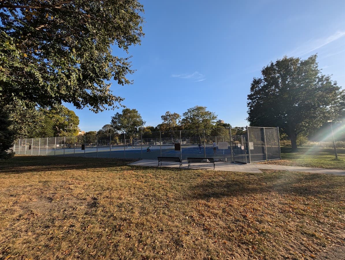 Loring Park pickleball: The honest review of Minneapolis's urban courts