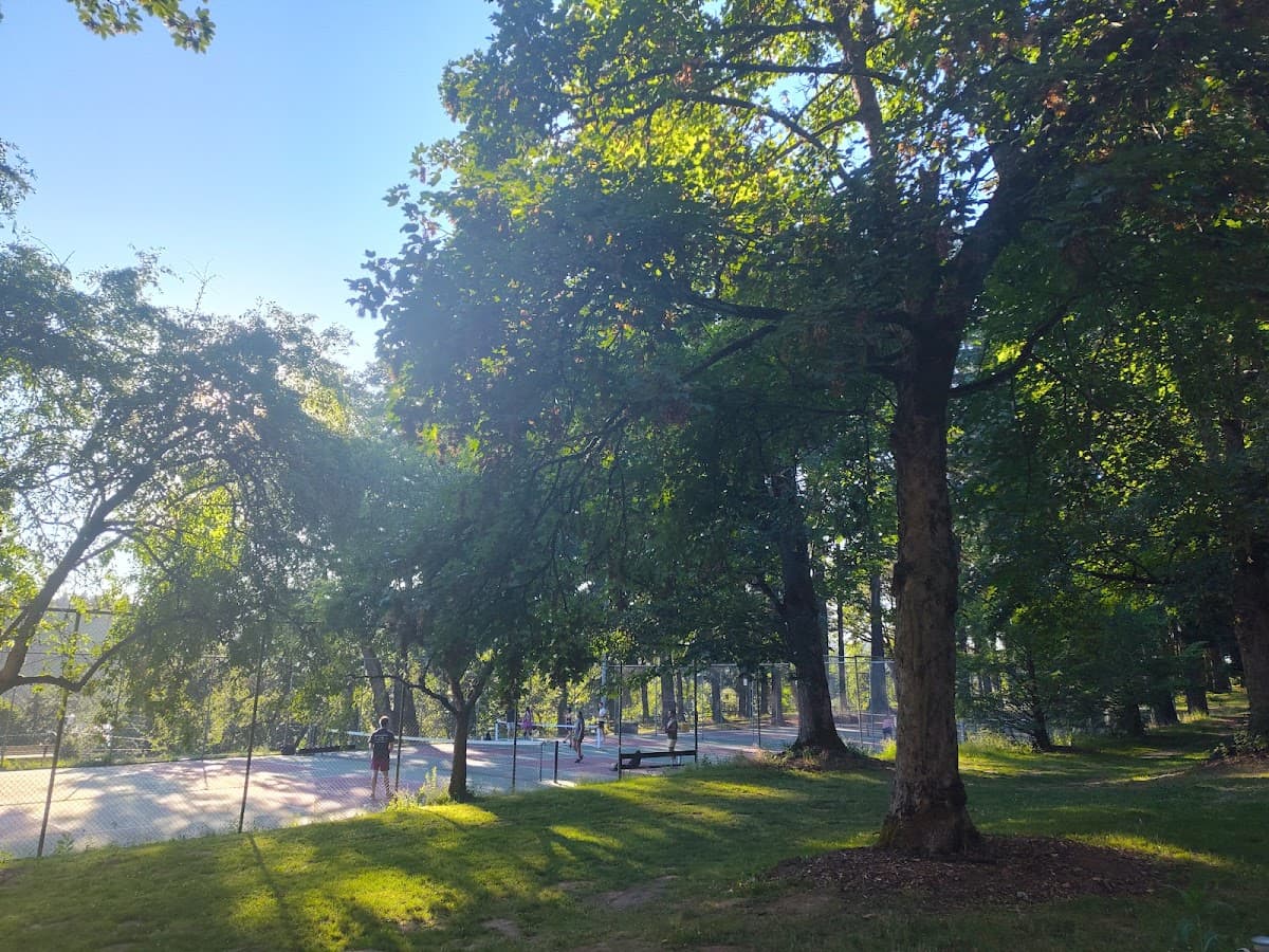 The Sellwood Park pickleball review: Great shade, brutal pine needles