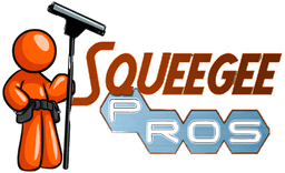 Squeegee Pros